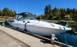 Salmon Fishing Trip