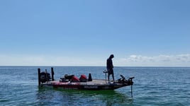 St Lawrence Trophy Bass 