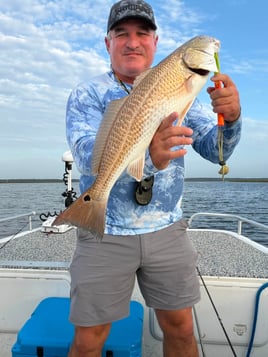 Missippi Inshore Trips 