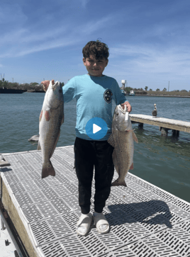 Hunting Redfish In The Flats 