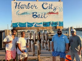 Hunting Redfish In The Flats 