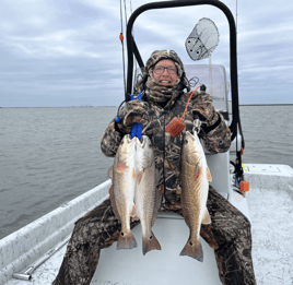 Hunting Redfish In The Flats 