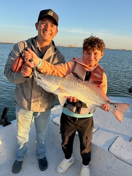 Hunting Redfish In The Flats 