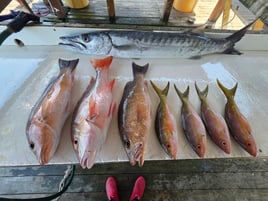 4 Hour AM Inshore Fishing Trip