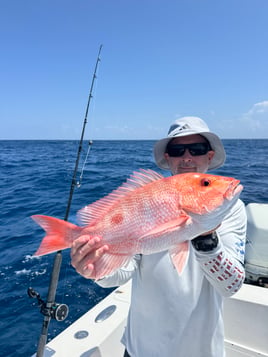 Snapper Deep Sea 5 Hour 