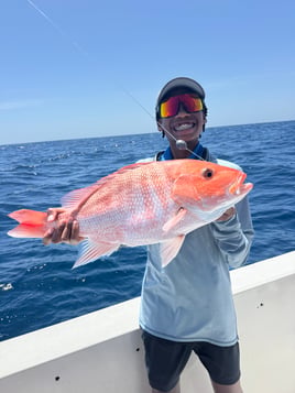 Snapper Deep Sea 5 Hour 