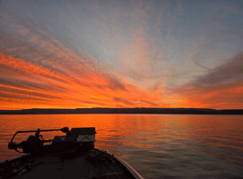 Summer Night Trip