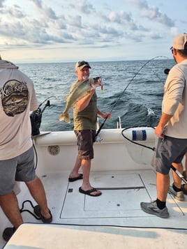 Walleye And Steelhead Fishing 