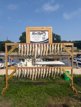 Walleye Capital! Ashtabula Ohio