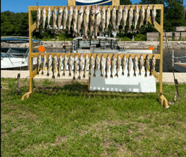 Walleye Fishing