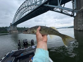 Lake Erie Walleye Trip 