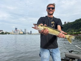 Lake Erie Walleye Trip 