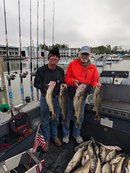 Lake Erie Walleye Fishing 
