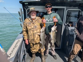 Lake Erie Walleye Fishing 
