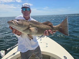 Inshore Gag Grouper