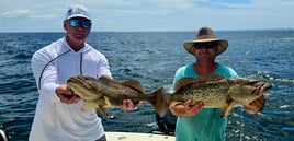 Inshore Gag Grouper