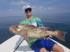 Inshore Gag Grouper
