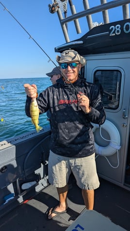 Lake Erie Yellow Perch Fishing 