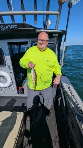 Lake Erie Yellow Perch Fishing 