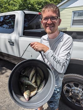 Lake Erie Yellow Perch Fishing 