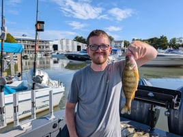 Lake Erie Yellow Perch Fishing 