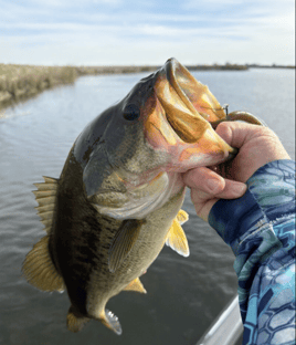 6 Hour Trip – Tide Switch