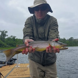 Trout Fly Fishing Trip