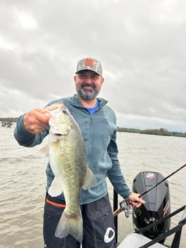 Toledo Bend & Sam Rayburn Fishing