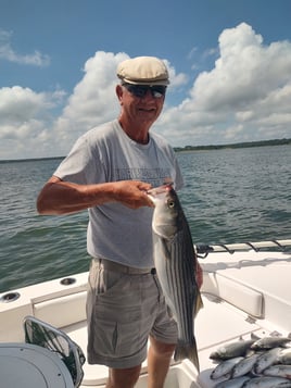 Striper Pursuit | Lake Texoma