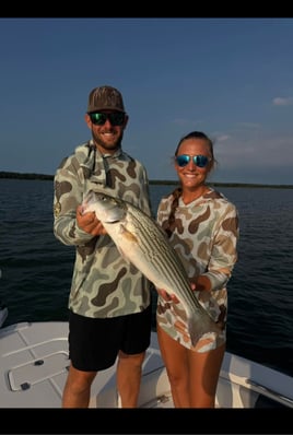 Striper Pursuit | Lake Texoma