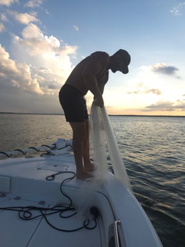 Striper Pursuit | Lake Texoma
