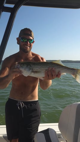 Striper Pursuit | Lake Texoma