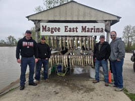 Walleye Capatil Of The World