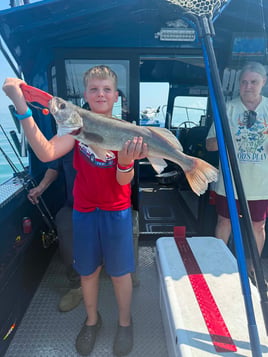 Walleye Capatil Of The World