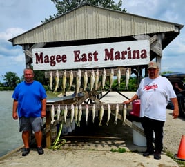Walleye Capatil Of The World