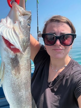 Walleye Capatil Of The World