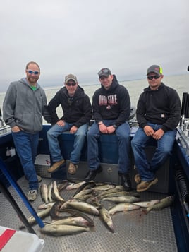 Walleye Capatil Of The World