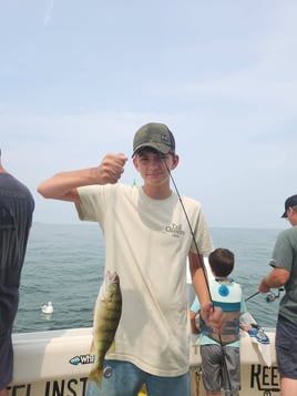 Lake Erie Perch