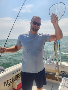 Lake Erie Perch