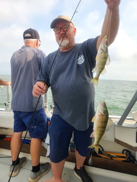 Lake Erie Perch