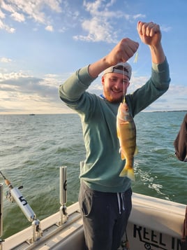 Lake Erie Perch
