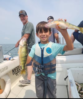 Lake Erie Perch