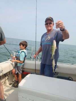 Lake Erie Perch