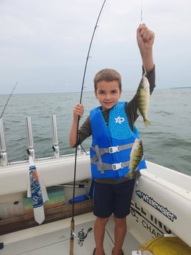 Lake Erie Perch