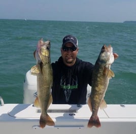 Lake Erie Walleye