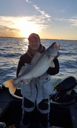 Lake Erie Walleye