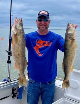 Lake Erie Walleye