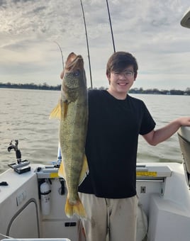 Lake Erie Walleye