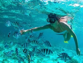 Snorkeling Adventure