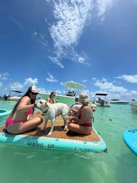 Sandbar Experience